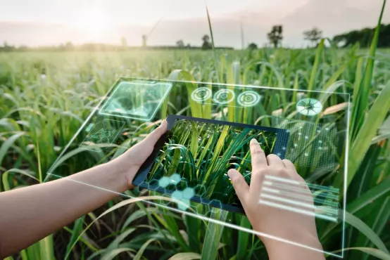 Forget commodities, the big opportunity in Asia is digital