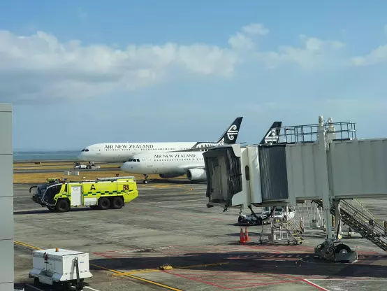 Auckland-Wellington is gearing up to be the busiest route for the airline
