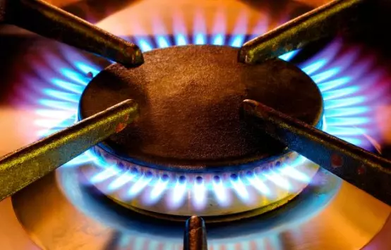 Ban new gas connections, car imports: Climate Commission