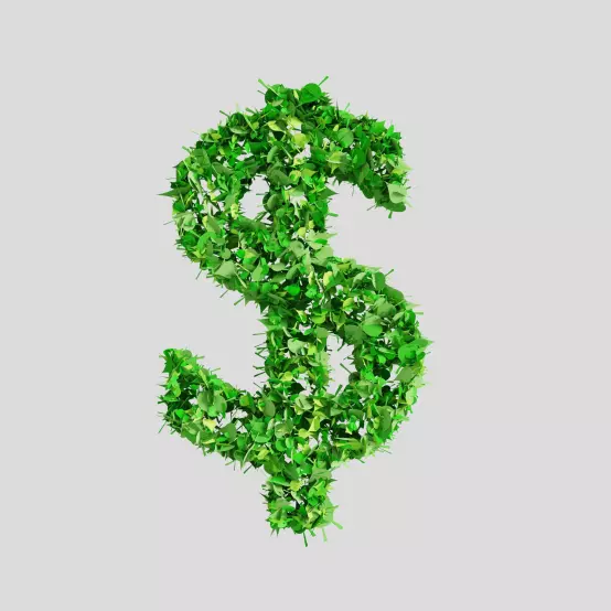 Investors need to think green to survive in the sustainable finance space