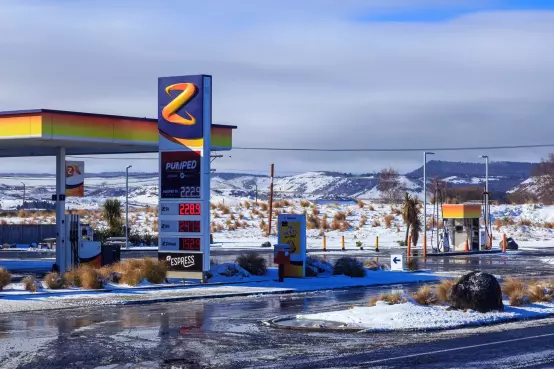 To meet mandate, Z will re-import NZ stockfeed as biofuel