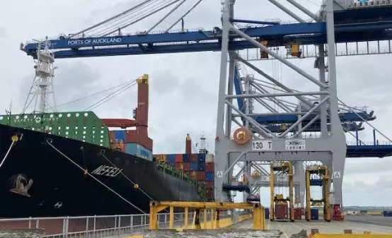 Third death in four years at the Auckland port (Image: BusinessDesk)