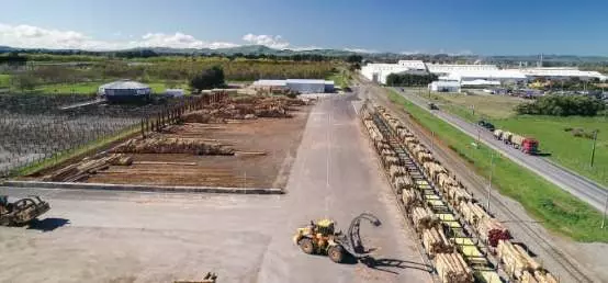 Ports' reliance on logs in jeopardy due to China's insatiable demand