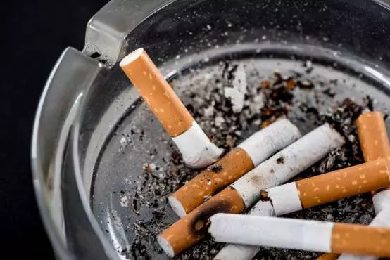 End of the line for NZ tobacco companies?