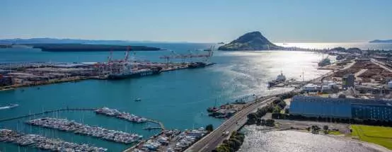 BRIAN GAYNOR: Port companies – Tauranga trounces Auckland