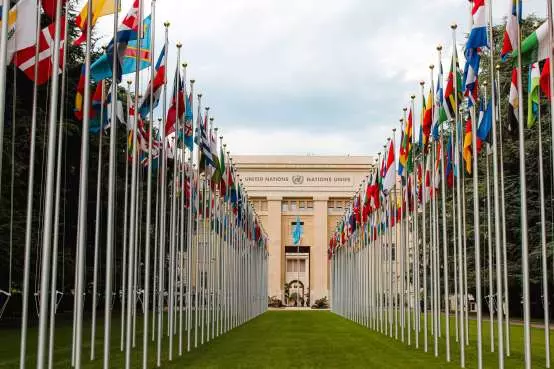 Good greed: UN ETF makes for WTF moment