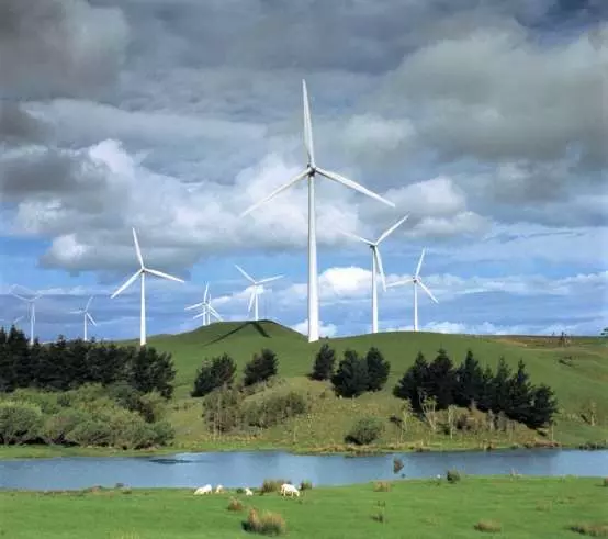 Meridian Energy Australia owns and operates two wind farms in Australia.  (Photo: BusinessDesk)