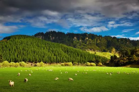 Pāmu says it's hitting the brief but review disagrees