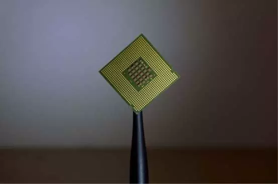 What does the new algorithm charter mean for NZ?