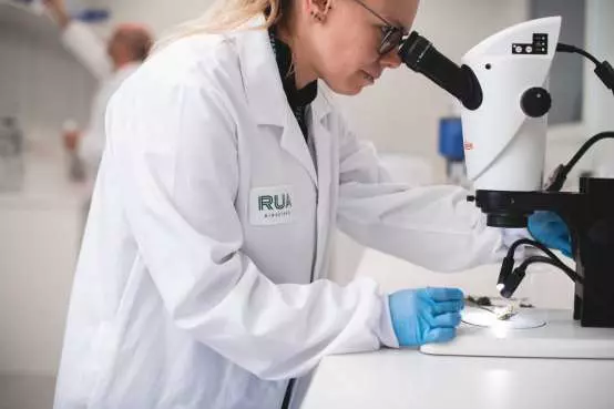 Cannabis firm Rua Bioscience targets October NZX listing