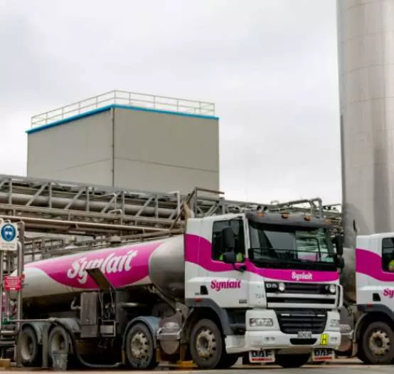 Synlait brings its forecasts in line with Fonterra