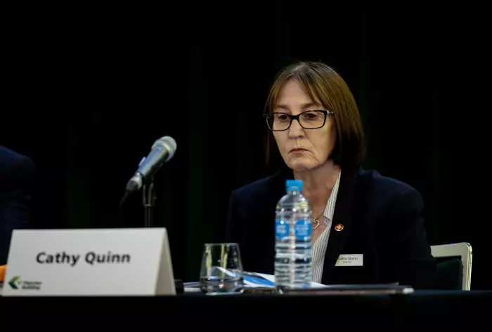 Fletcher Building director Cathy Quinn: 'I take my share of accountability'