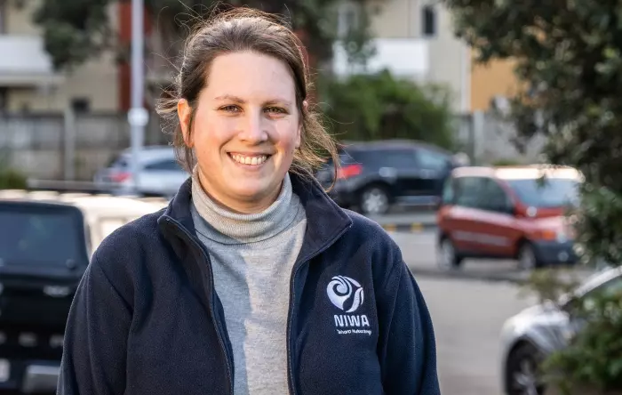 NZ's native forests could be sucking up far more CO2 than previously calculated