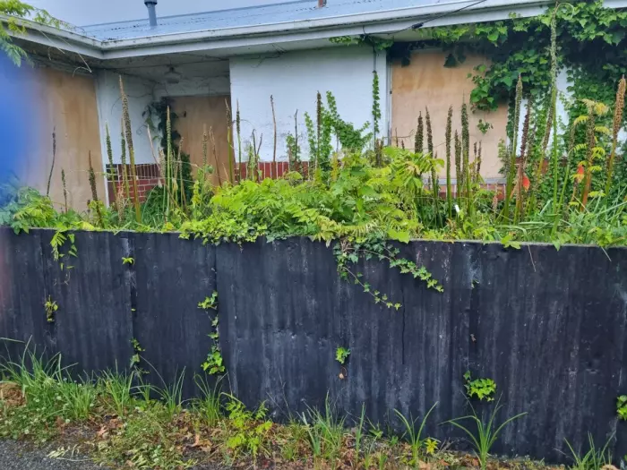 Kāinga Ora properties sit derelict while reviews continue