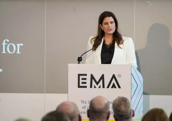 'Material uncertainty': EMA chief says ‘technicality’ behind auditor’s going concern opinion