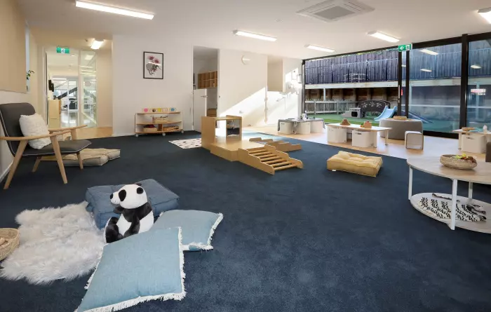Debts of Peacocks daycare-related entities pile up