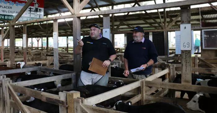 Allied Farmers shareholders back $10m sale of NZ Farmers Livestock