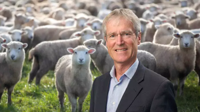 Without Dawn Meats, Alliance Group faces a ‘very real’ threat of collapse
