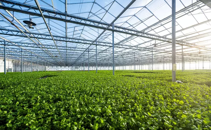 Herb garden to yield 6.5% into new Centuria agri offer