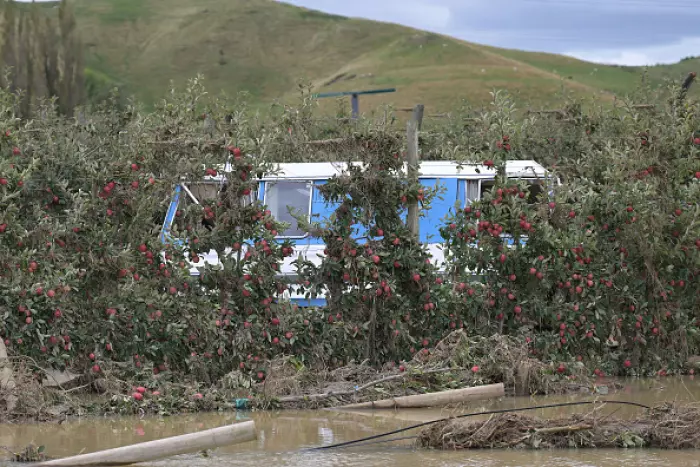 NZ Apples and Pears: some growers 'have nothing left'