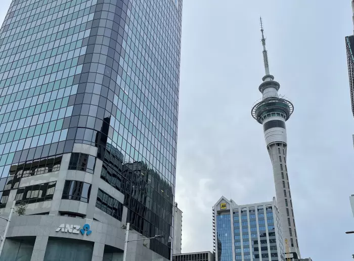 Auckland needs to take leadership - Koi Tū