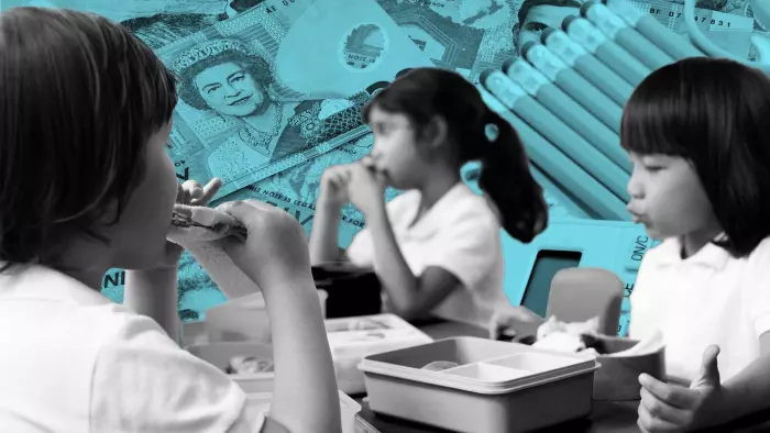 Auditor General launches investigation into school lunch programme