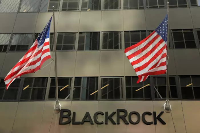 BlackRock spent $210m on Meridian shares