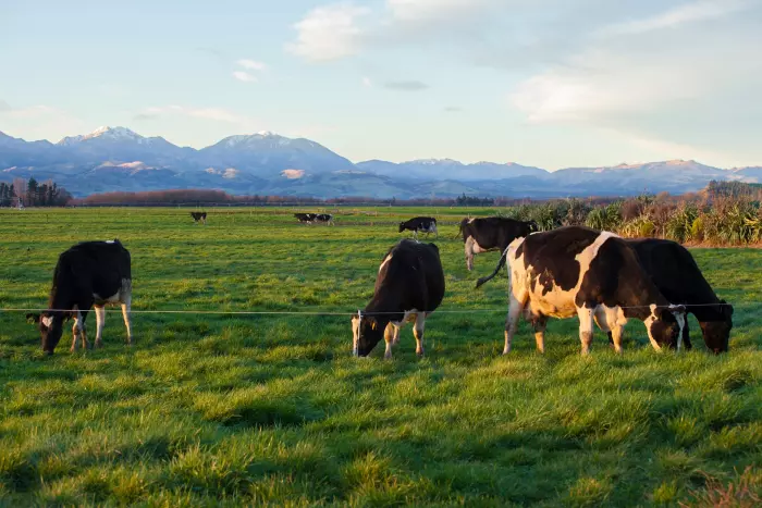 AgriZeroNZ makes its first investment in an Australian startup