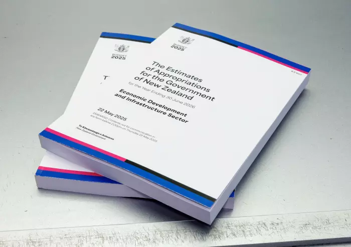 Budget 2025: Bond programme tweaked higher