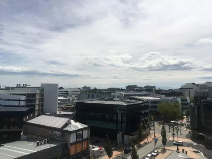 Christchurch engineer's building design 'incompetent'