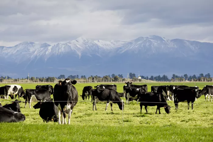 Dairy farm trials technology to reduce methane