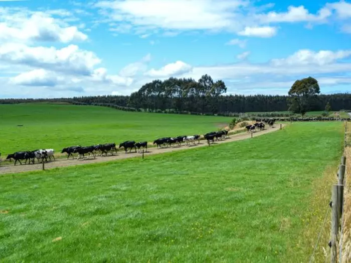 Allied to buy out NZ Rural Land manager