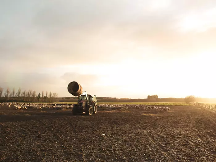 Federated Farmers CEO Terry Copeland steps down after 7 years