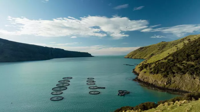 Akaroa King Salmon: Scotsman Stewart Hawthorn takes helm