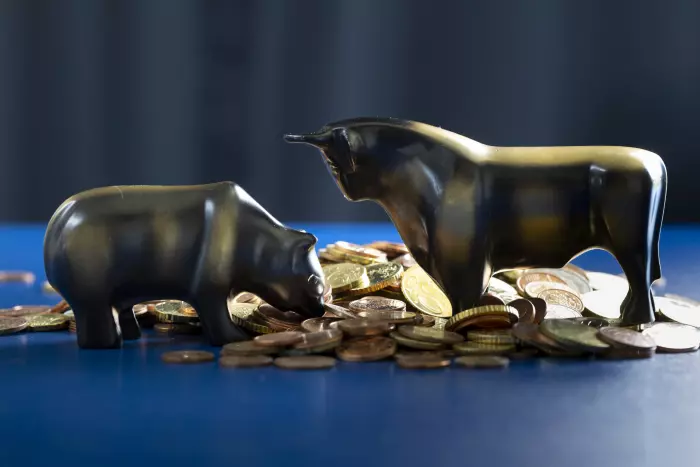 Bulls, bears and analysis …