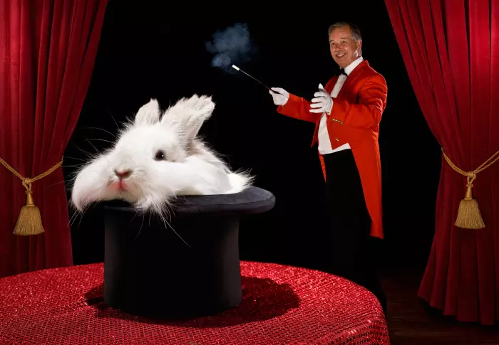 The Government's Bunny Budget