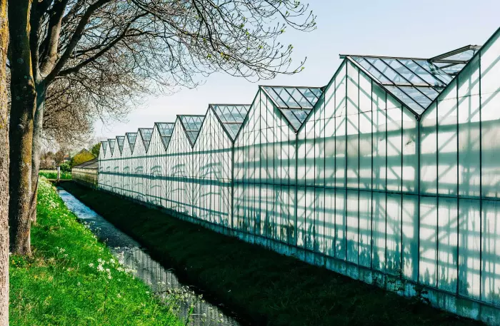 Dutch carbon tech startup Skytree plans to put down roots in NZ