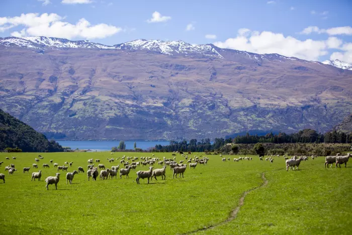 Magnates sell ‘stunning piece of NZ’ for bumper price