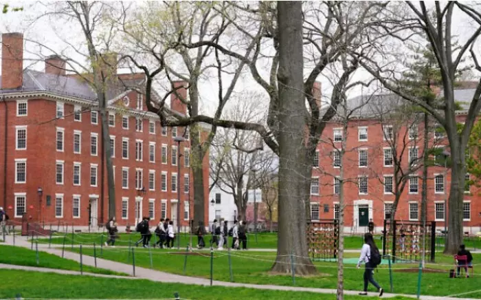 Ivy League colleges like Harvard are big business at its worst
