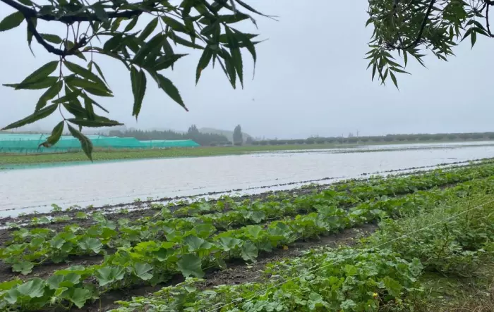 $25m available to help farmers and growers clean up