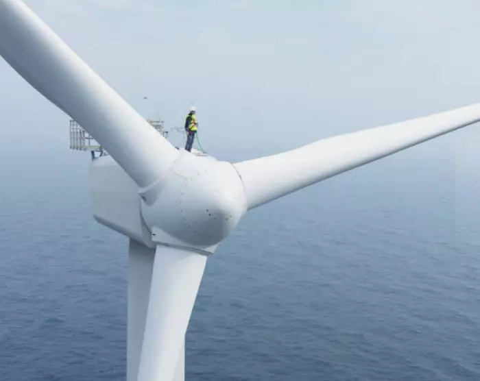 Offshore wind on the rise in NZ say promoters