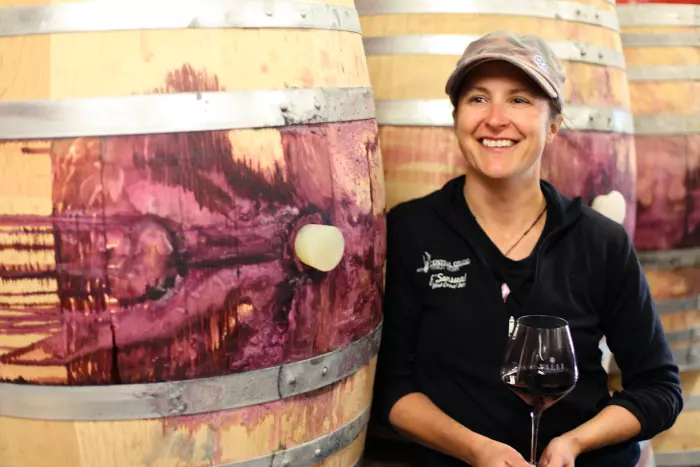 Picking a winner – our top winemakers on the 2021 harvest