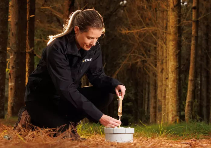 Scion researchers will test if pine forest soils are helping reducing NZ’s methane levels