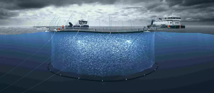 US consumers ignoring tariffs on NZ King Salmon