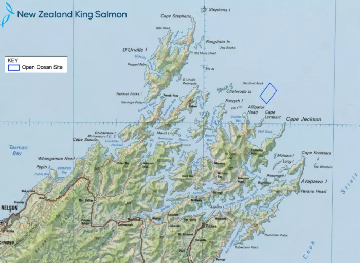 NZ King Salmon posts a 7-month net loss