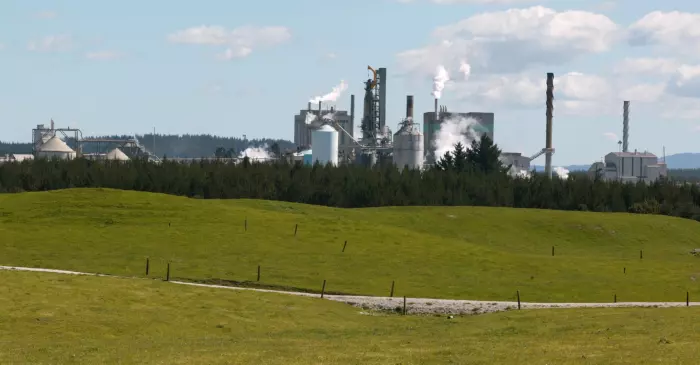 Winston Peters pledges to support mill workers facing losing their jobs