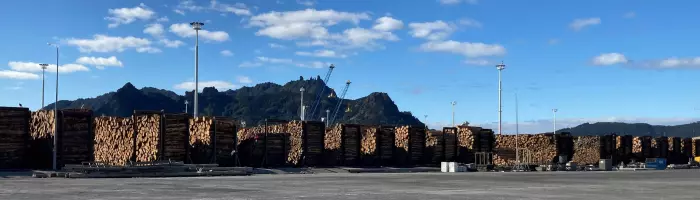 Timber and lumber exports to US hit by new tariffs