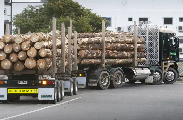 Wood industry unveils value-added plan to double exports