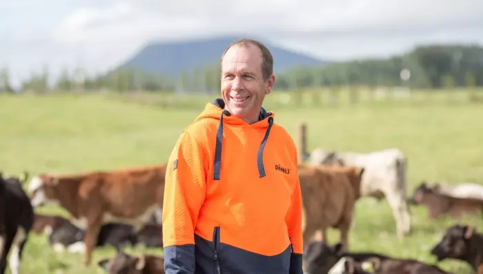 State farmer Pāmu upgrades profit guidance on strong milk production, red meat prices