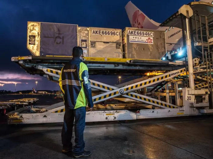 Mainfreight result lifts sharemarket as investors eye Infratil update